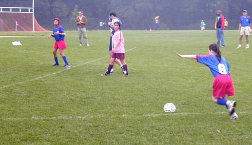 crop2.jpg (31701 bytes)
